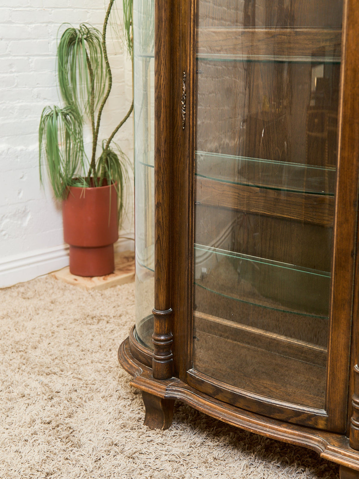 Antique Circa 1900 Bow Front Quarter Sawn Oak China Cabinet Hutch Display