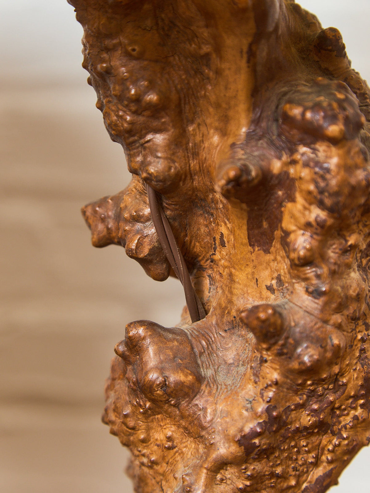 1960's Burl Vintage Lamp