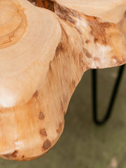 Burlwood Acacia Side Table