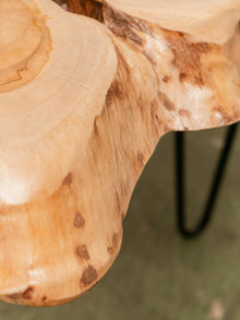 Burlwood Acacia Side Table