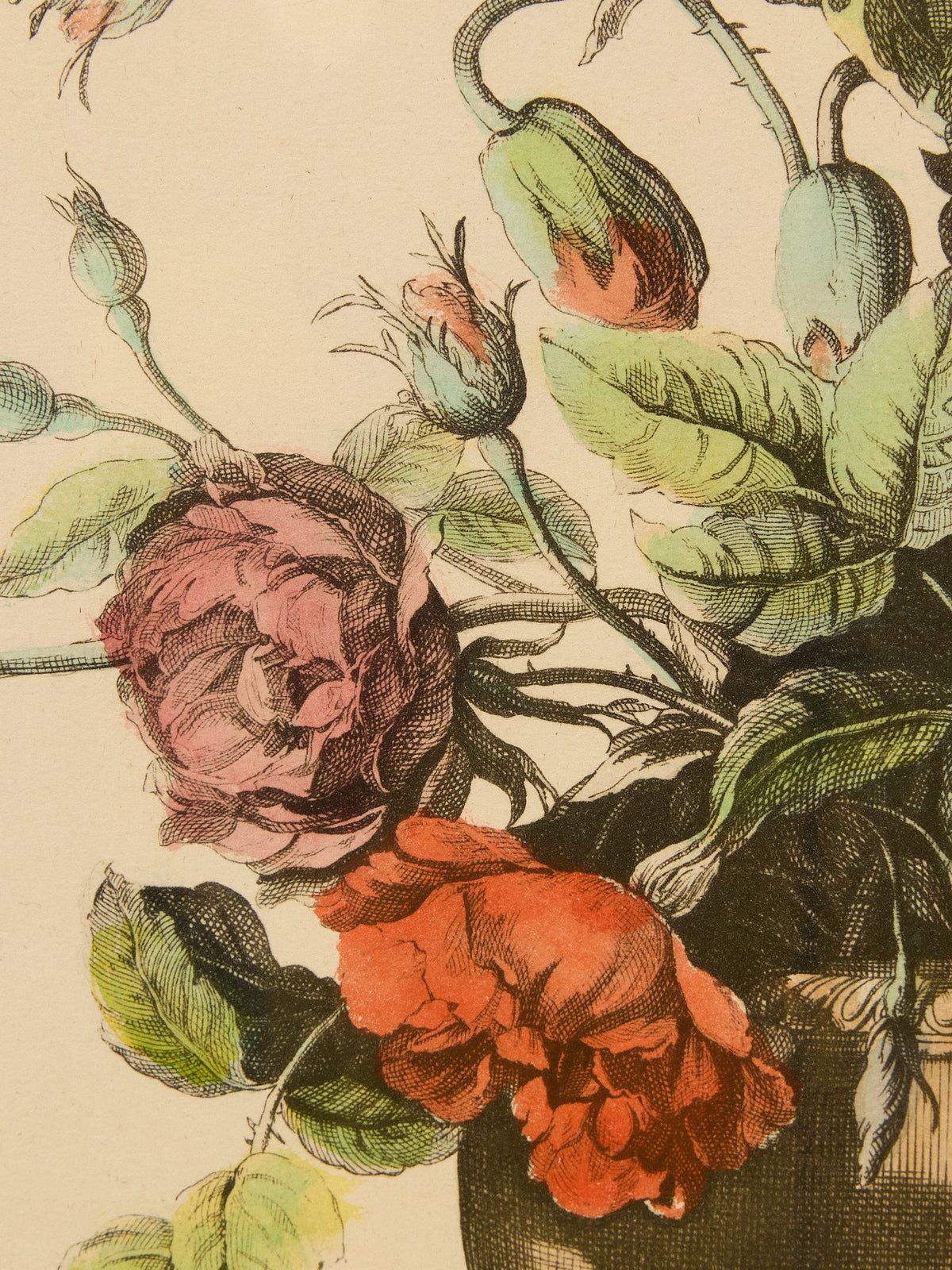 Vintage Botanical Floral Still Life Print After Jean-Baptiste Monnoyer