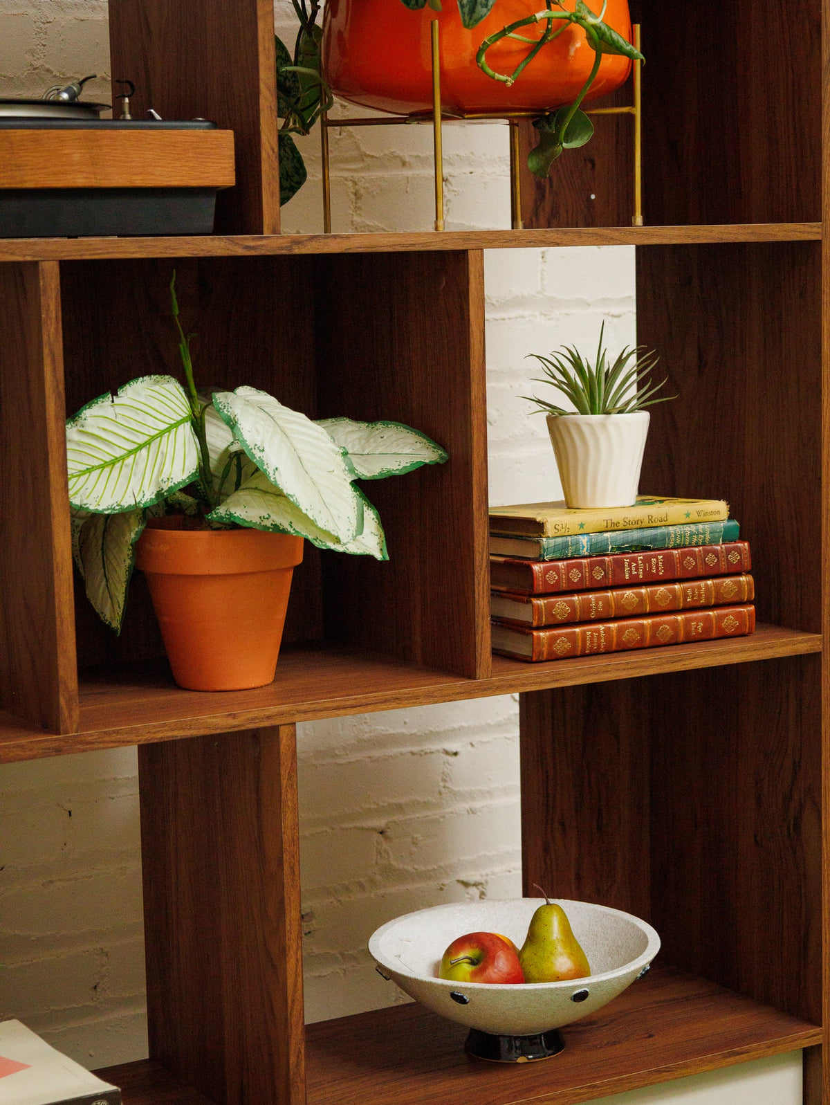 Bailey Shelf with Storage